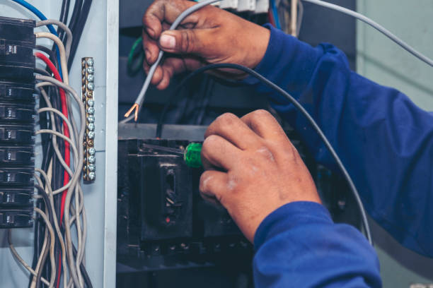 Best Electrician for Home Renovation  in Iceville, AL